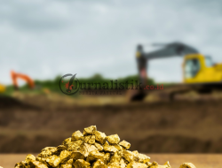 PT Merdeka Copper Gold Tbk Siap Produksi 300 Ribu Ons Emas per Tahun