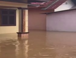 Banjir Terjang Pohuwato, Ratusan Rumah dan Lahan Pertanian Terendam