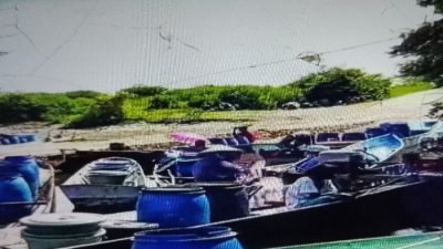 Krisis Air Bersih Melanda Tiga Desa di Torosiaje, Warga Desak Pemerintah dan PDAM Bertindak