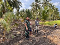 Tingkatkan Ketahanan Pangan, Kapoksahli Pangdam XIII/Merdeka Tinjau Proyek Cetak Sawah di Pohuwato