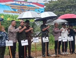 Dandim 1313 Pohuwato Bersama Forkopimda Hadiri Penanaman Jagung Serentak di Duhiadaa