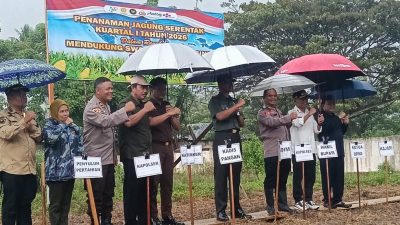 Dandim 1313 Pohuwato Bersama Forkopimda Hadiri Penanaman Jagung Serentak di Duhiadaa