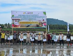 Dukung Ketahanan Pangan, Dandim 1313 Pohuwato Kerahkan Babinsa Dampingi Petani