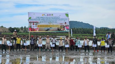 Dukung Ketahanan Pangan, Dandim 1313 Pohuwato Kerahkan Babinsa Dampingi Petani