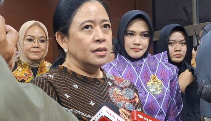 Puan Dorong Pemerintah Gunakan BoP untuk Bebaskan WNI yang Ditahan Israel