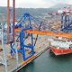 Pelindo Terminal Petikemas Setor Rp 1,73 Triliun ke Negara Sepanjang 2025