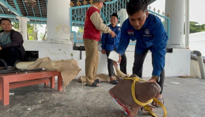 Kriteria Hewan Kurban dan Tata Cara Penyembelihan Sesuai Syariat serta Aturan Negara