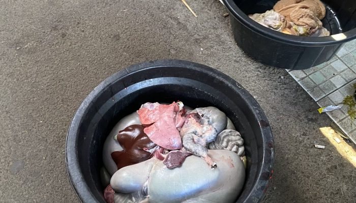 Jeroan Hewan Kurban di Jakarta Barat Tak Selalu Dibuang, Ini Penjelasannya
