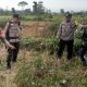 Balon Udara Bermuatan Petasan Meledak di Blitar, Satu Warga Tewas saat Idul Adha