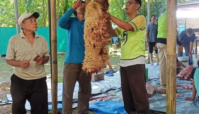 Yudi, Pensiunan Sopir Ambulans yang Setia Menjadi Jagal Kurban Tiap Idul Adha