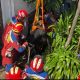Sapi Kurban 350 Kg Kabur Saat Akan Dipotong, Terjebak di Gorong-gorong 2 Meter di Jaktim