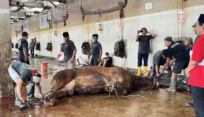 Relokasi RPH Surabaya Tak Pengaruhi Jumlah Pelanggan Meski Sempat Ditolak dan Didemo
