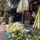 Penjual Kulit Ketupat di Pal Merah Curhat, Baru 500 Butir Terjual dari 3.000 Tahun Lalu