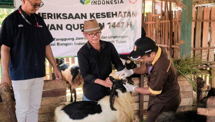 SIG Salurkan 292 Hewan Kurban di 19 Provinsi, Gandeng UMKM Lokal
