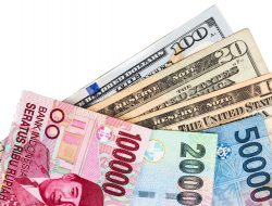 Dollar AS Terus Naik, Perlu Ikut Beli atau Jangan FOMO?