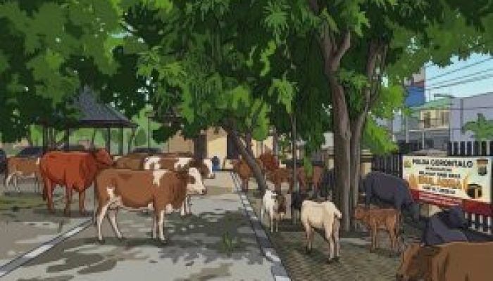 Polda Gorontalo Siapkan 25 Hewan Kurban untuk Idul Adha 1447 H/2026 M