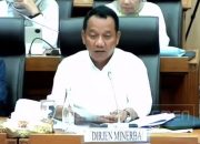 Setoran Minerba Naik 6,21% Jadi Rp48,95 Triliun hingga April 2026