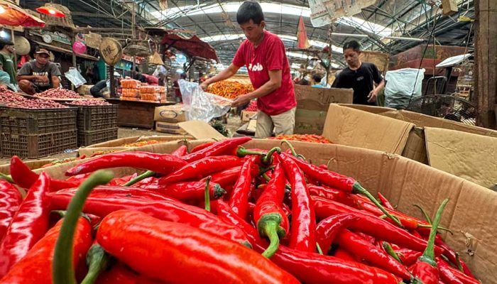Iduladha, Harga Cabai dan Beras Sama-Sama Naik