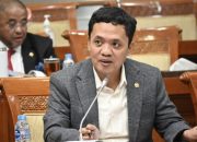 DPR Nilai Pembelian 1.098 Sapi Kurban Prabowo Pakai APBN Sesuai Aturan