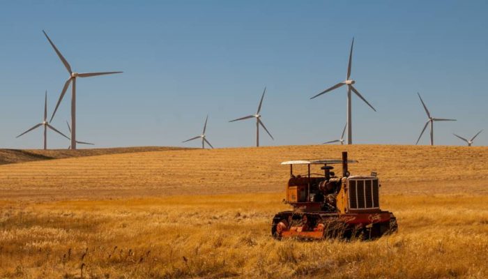 Energi Terbarukan Diproyeksi Tarik Investasi Baru Skala Besar