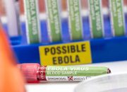 WHO Minta Obat Ebola Dibatasi untuk Uji Klinis