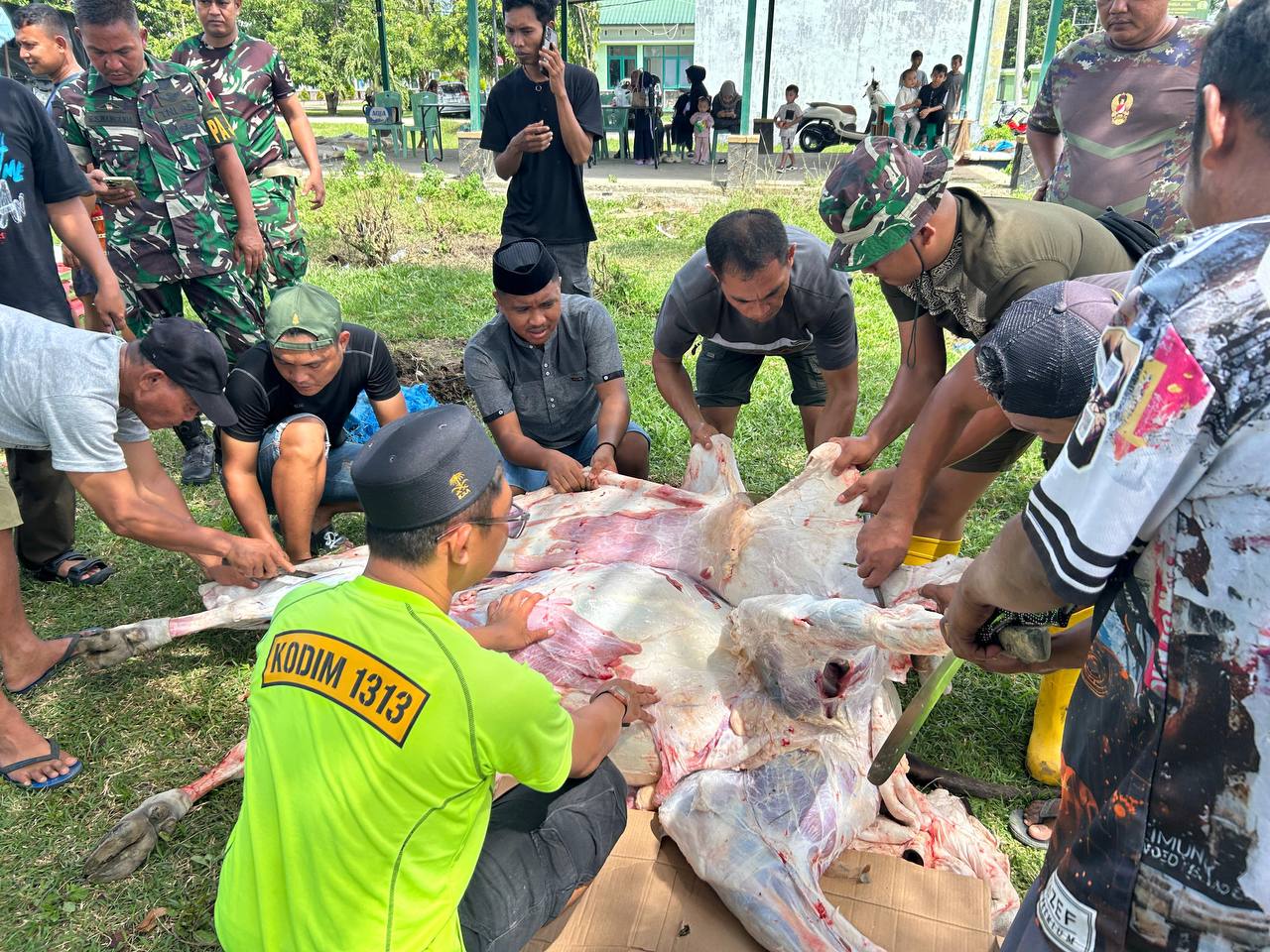 Dokumentasi Kodim 1313/Pohuwato penyembelihan hewan kurban Idul Adha 1447 H