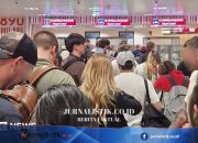 Stop pretending EU's new border system is working, says airports chief