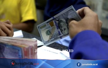 Rupiah Menguat Hampir 1 Persen dalam Sepekan, Ini Faktor Pendorongnya Money 14 Juni 2026
