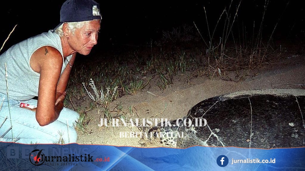 Lebanese turtle conservationist Mona Khalil killed by Israeli strike