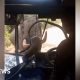 Video: Gajah liar menghantam kaca depan bus yang membawa personel angkatan udara di Sri Lanka