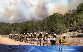 Tiga petugas pemadam tewas saat menghadapi kebakaran hutan besar di Colorado