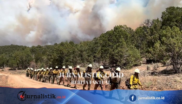 Tiga petugas pemadam tewas saat menghadapi kebakaran hutan besar di Colorado