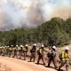 Tiga petugas pemadam tewas saat menghadapi kebakaran hutan besar di Colorado