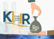 BRI: Riwayat Pinjol di Bawah Rp 1 Juta Tidak Menghalangi Dapat KUR Money 18 Juni 2026