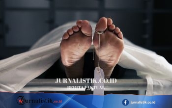 Peserta BTN JAKIM 2026 Meninggal Dunia, Rekan Ungkap Sempat Ambruk di Km 14 News 14 Juni 2026