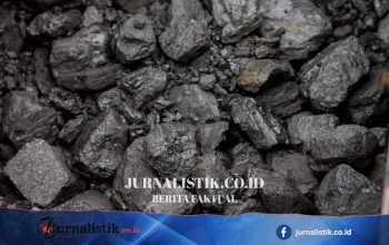 Pasokan PLN Menipis, ESDM Tahan Sementara Ekspor Batu Bara hingga Kondisi Membaik