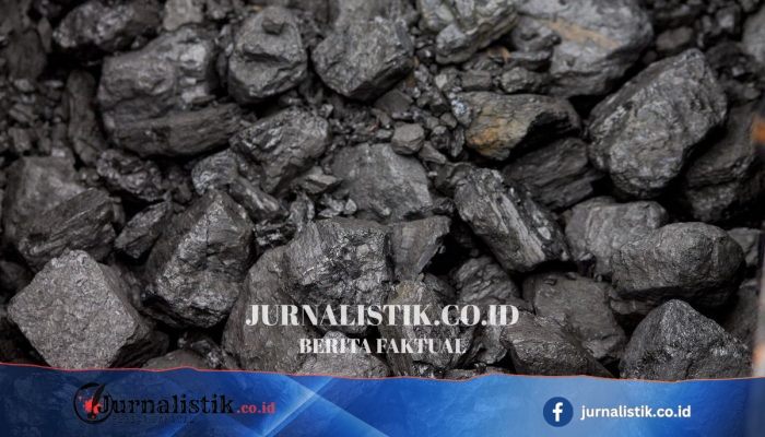 Pasokan PLN Menipis, ESDM Tahan Sementara Ekspor Batu Bara hingga Kondisi Membaik