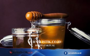 Banyak Orang Tertipu, Madu Ternyata Tidak Lebih Sehat dari Gula Lifestyle 15 Juni 2026