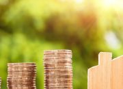 Mayora (MYOR) Tebar Dividen Rp 60 per Saham Money 5 Juni 2026