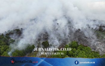 30 Hari Tanpa Hujan, Kalteng Mulai Modifikasi Cuaca Cegah Karhutla; 1 Pesawat Disiagakan