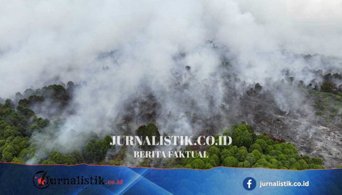30 Hari Tanpa Hujan, Kalteng Mulai Modifikasi Cuaca Cegah Karhutla; 1 Pesawat Disiagakan