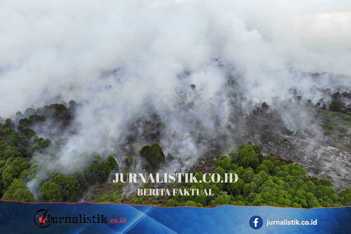 30 Hari Tanpa Hujan, Kalteng Mulai Modifikasi Cuaca Cegah Karhutla, 1 Pesawat Disiagakan Regional 18 Juni 2026