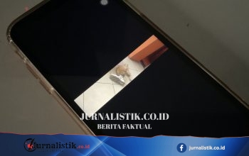 Universitas Ciputra Surabaya Buka Suara Usai Salah Satu Pendaftarnya Jadi Pelaku Perekam Area Privat Wanita Regional 15 Juni 2026