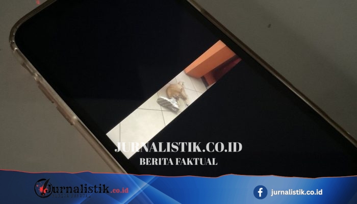 Universitas Ciputra Surabaya Angkat Suara setelah Salah Satu Pendaftarnya Jadi Pelaku Perekaman Area Privat Wanita