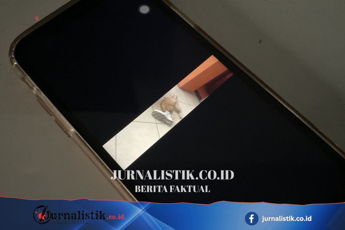 Universitas Ciputra Surabaya Buka Suara Usai Salah Satu Pendaftarnya Jadi Pelaku Perekam Area Privat Wanita Regional 15 Juni 2026