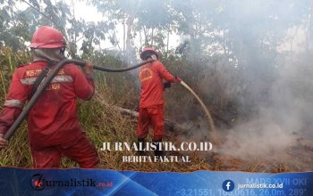 Masuk Kemarau, Pemkab PALI Tetapkan Siaga Karhutla Hingga November 2026