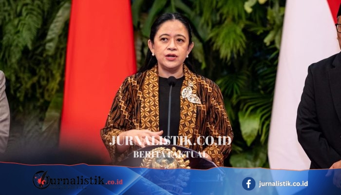 Pemadaman Listrik Bergilir Ganggu Ekonomi Rakyat, Puan Minta PLN Evaluasi dan Mitigasi