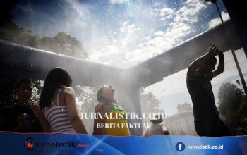 Eropa Mencatat Gelombang Panas Paling Parah yang Hampir Mustahil: 95 Juta Orang Terdampak