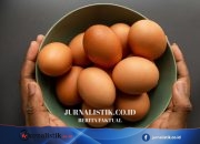 Telur dan Daging Ayam Jadi Menu Wajib MBG di Jateng, Disajikan 2 Kali dalam Sepekan Regional 19 Juni 2026