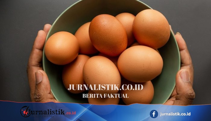 Telur dan Daging Ayam Jadi Menu Wajib MBG di Jawa Tengah, Disajikan 2 Kali per Pekan